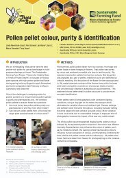 Pollen pellet colour, purity & identification (PDF File ... - Trees for Bees