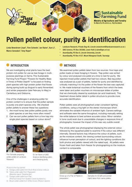 Pollen pellet colour, purity & identification (PDF File ... - Trees for Bees