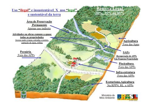 Wigold Schaffer - Reserva da Biosfera da Mata Atlântica