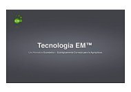 PPT - Tecnologia EM Hidroponia Esp.pdf