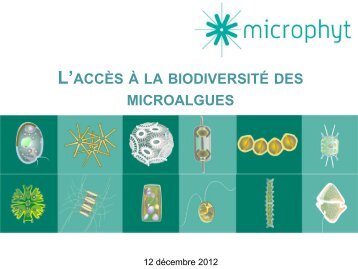 L'accÃ¨s Ã  la biodiversitÃ© des microalgues (Microphyt)