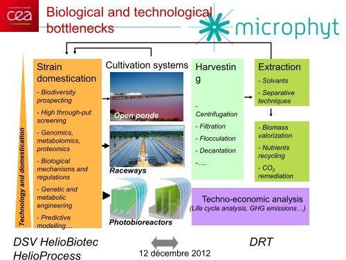 L'accÃ¨s Ã  la biodiversitÃ© des microalgues (Microphyt)