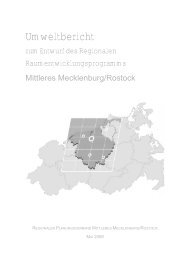 Umweltbericht zum Entwurf des RREP MM/R - Planungsverband ...