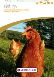 Futterkatalog Fasan - westoil