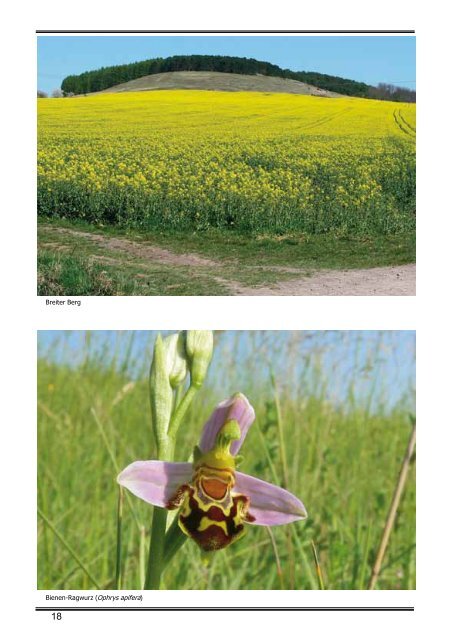 Schutzgebiete im Unstrut - Hainich - Kreis