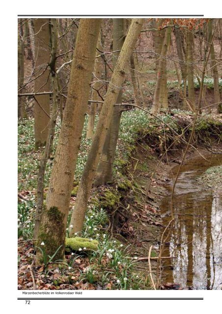 Schutzgebiete im Unstrut - Hainich - Kreis