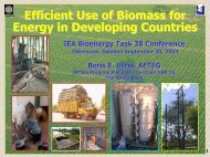 Efficient Use of Biomass for Energy in Developing Countries