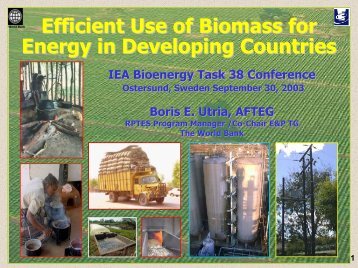 Efficient Use of Biomass for Energy in Developing Countries