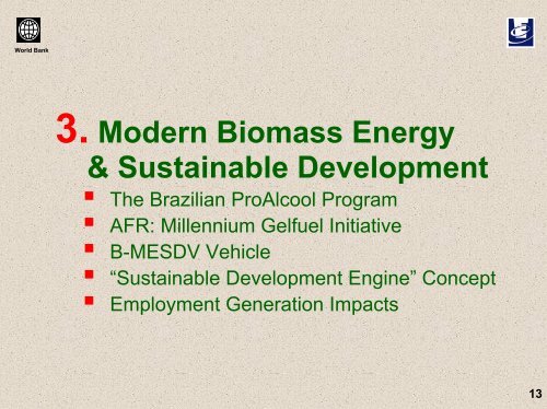 Efficient Use of Biomass for Energy in Developing Countries