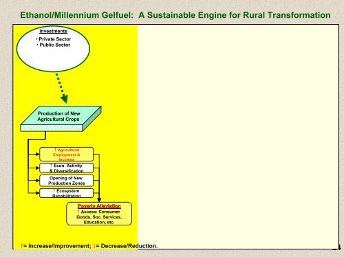 Efficient Use of Biomass for Energy in Developing Countries