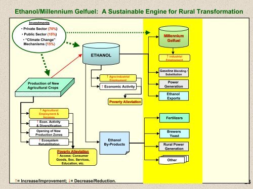 Efficient Use of Biomass for Energy in Developing Countries