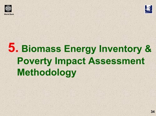 Efficient Use of Biomass for Energy in Developing Countries