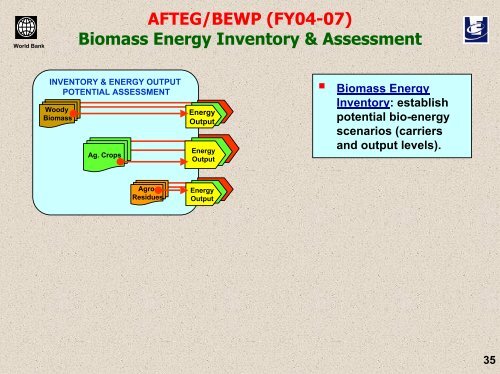 Efficient Use of Biomass for Energy in Developing Countries