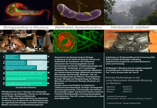 Beratung zum Fach Biologie - Studium Biologie - Universität Würzburg