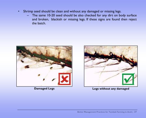 Practical Manual on Better Management Practices for Tambak ...