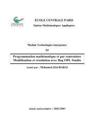 Programmation mathÃ©matique et par contraintes ModÃ©lisation et ...