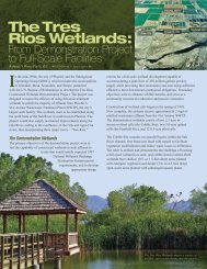 The Tres Rios Wetlands - Southwest Hydrology