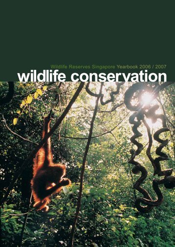 an all-encompassing experience - Wildlife Reserves Singapore