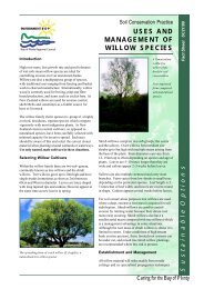 USES AND MANAGEMENT OF WILLOW SPECIES