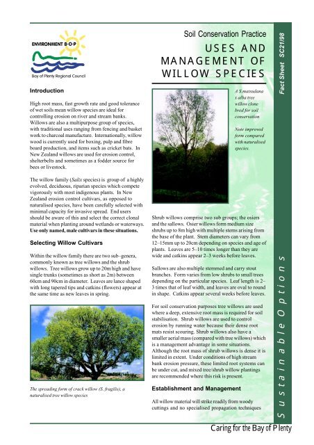 USES AND MANAGEMENT OF WILLOW SPECIES