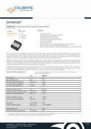 RS9010.B / Single axis tactical grade accelerometer - Colibrys