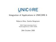 Integration of Applications in UNICORE 6