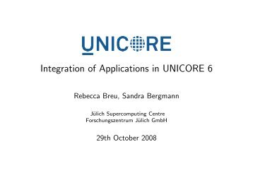 Integration of Applications in UNICORE 6