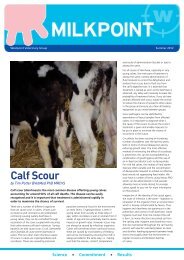 Calf Scour - Westpoint Veterinary Group