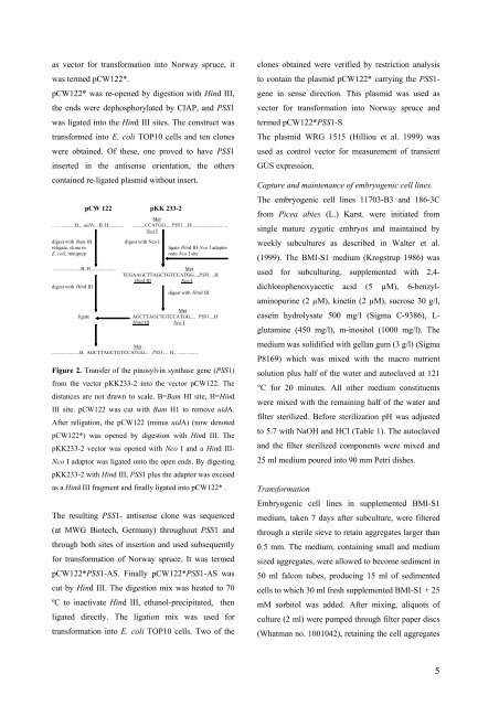 Download pdf - Skog og landskap