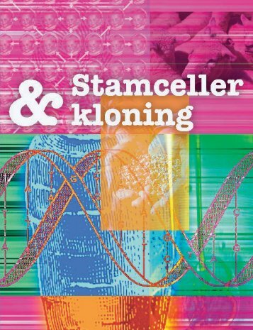 Debatthefte om stamceller og kloning - Bioteknologinemnda