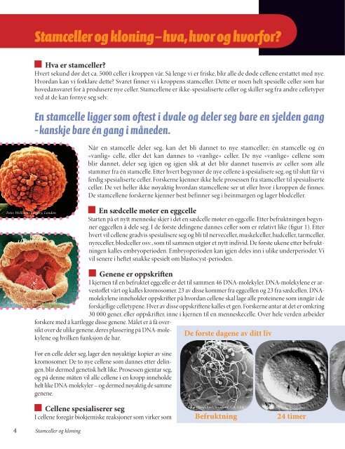 Debatthefte om stamceller og kloning - Bioteknologinemnda