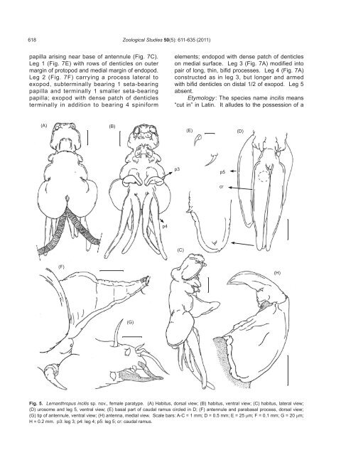 Six Species of the Lernanthropidae - Zoological Studies