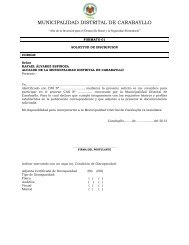 Formatos del 01 al 10 - Carabayllo