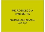MICROBIOLOGÍA AMBIENTAL