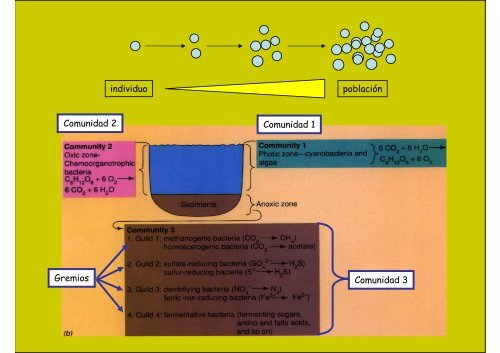 MICROBIOLOGÍA AMBIENTAL