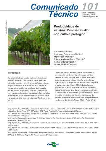 Produtividade de videiras Moscato Giallo sob cultivo protegido