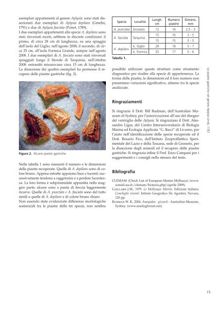 scarica il Notiziario S.I.M. - SocietÃƒÂ  Italiana di Malacologia