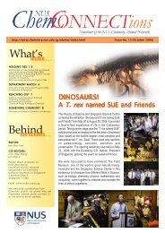 2006 - Department of Chemistry - National University of Singapore