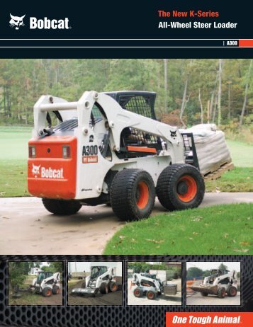 A300 All-Wheel Steer Loader - GrÃºas San Blas