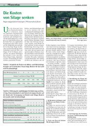 Die Kosten von Silage senken