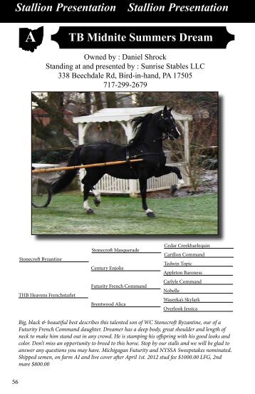 Derawnda Raye Stallion Presentation Stallion Presentation TB ...