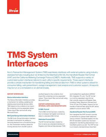 TMS System Interfaces - Itron