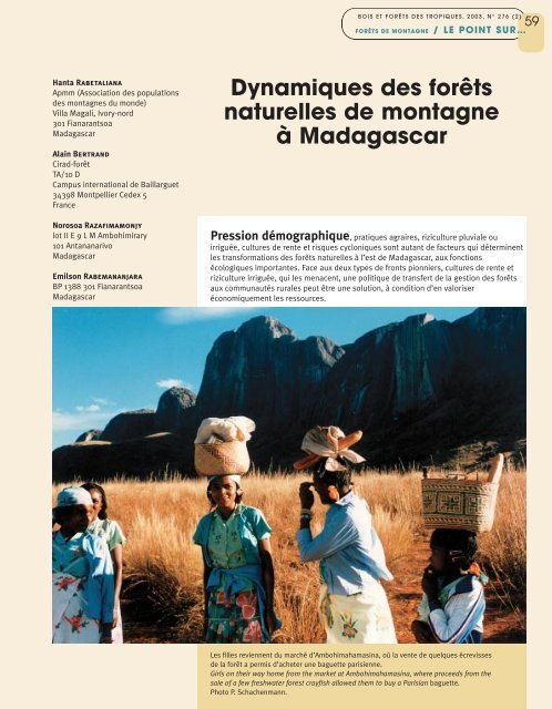 Dynamiques des forêts naturelles de montagne à Madagascar