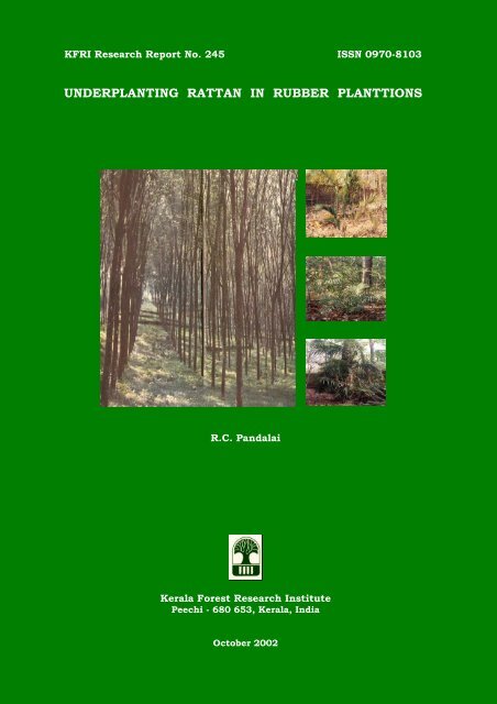 underplanting rattan in rubber planttions - Kerala Forest Research ...