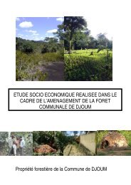 rapport ESE Djoum - Centre Technique de la ForÃªt Communale