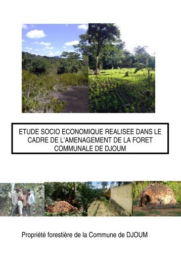 rapport ESE Djoum - Centre Technique de la ForÃªt Communale