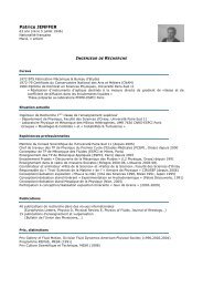 Patrice JENFFER - Physique et Mécanique des Milieux ...