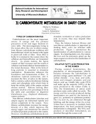 3) carbohydrate metabolism in dairy cows - Babcock Institute ...