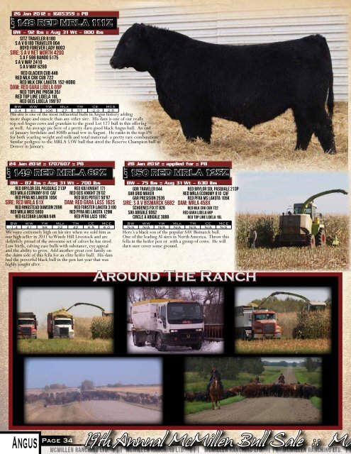 Sale :: March 2, 2013 - Bouchard Livestock International