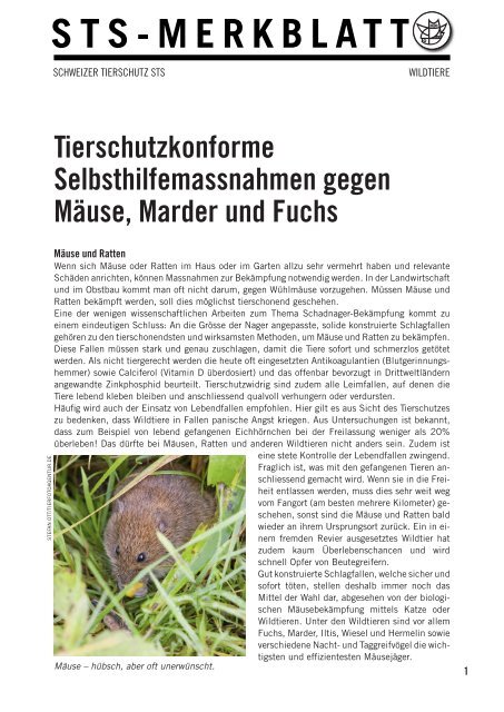 Merkblatt Selbsthilfemassnahmen gegen Mäuse, Marder und Fuchs